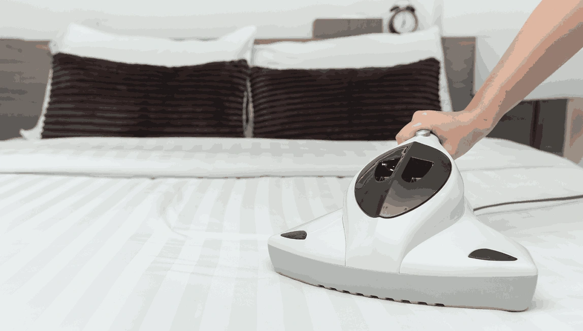 Professional Mattress Cleaning Templestowe
